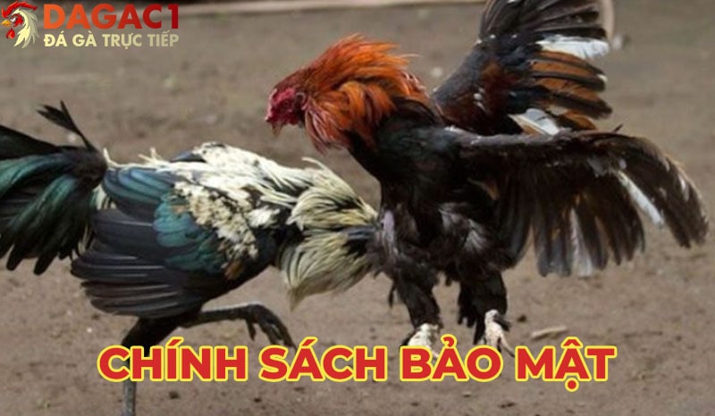 Nội dung chính sách bảo mật tại trang đá gà trực tiếp Shurl.io