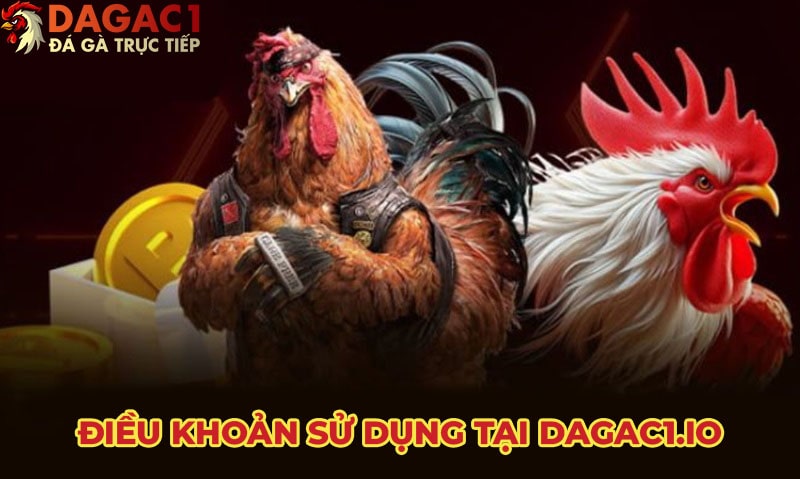 Điều khoản sử dụng tại Shurl.io